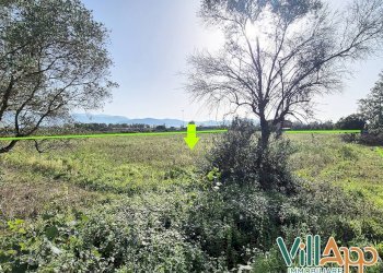 Foto 4 - Terreno agricolo Via Appia
 
3500, Fondi - foto 4