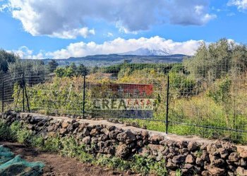 Foto 50 - Villa via Albero San Filippo, Piedimonte Etneo - foto 50