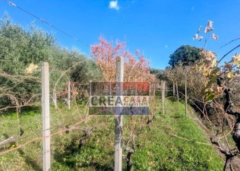 Foto 53 - Villa via Albero San Filippo, Piedimonte Etneo - foto 53