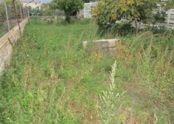 Terreno - Negozio Statte - foto 16