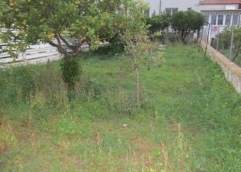 Terreno - Negozio Statte - foto 17