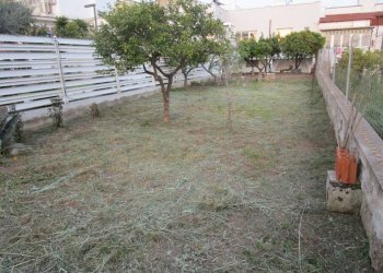 Terreno - Negozio Statte - foto 17