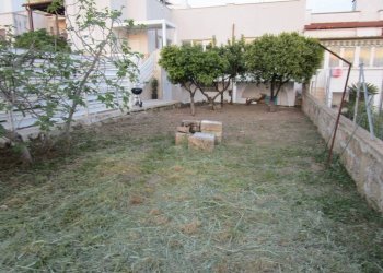 Giardino - Negozio Statte - foto 18