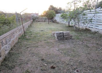 Terreno - Negozio Statte - foto 16