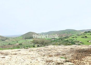 Foto 35 - Rustico SS514, Ragusa - foto 35