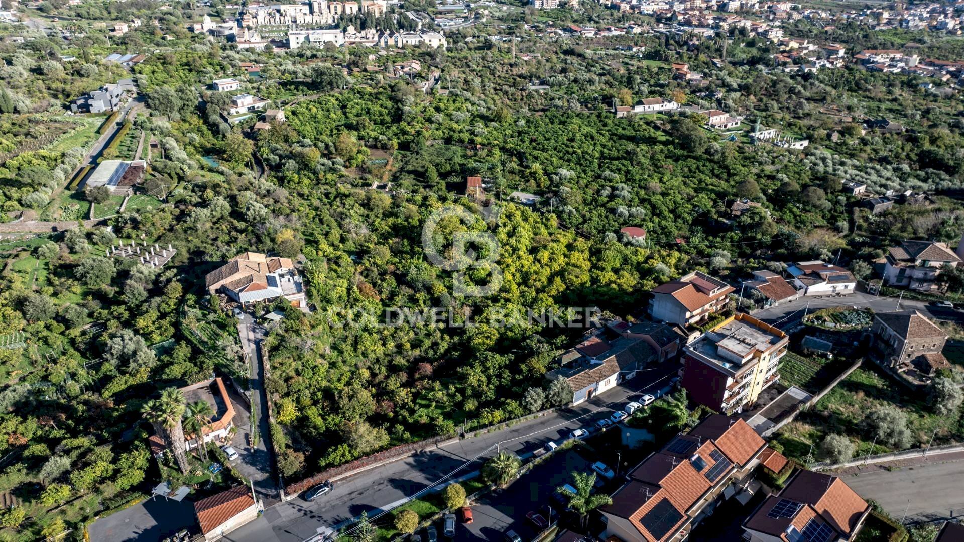 Foto 3 - Terreno agricolo Via Cubisia
24, Acireale - foto 3