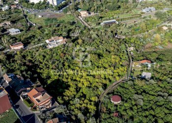 Foto 6 - Terreno agricolo Via Cubisia
24, Acireale - foto 6