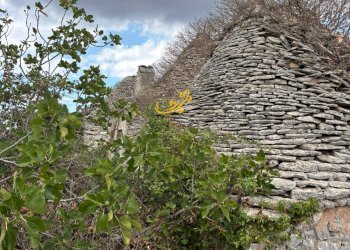 Foto 4 - Baita Contrada Scarcioppola, Noci - foto 4
