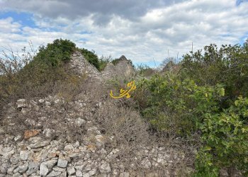 Foto 5 - Baita Contrada Scarcioppola, Noci - foto 5