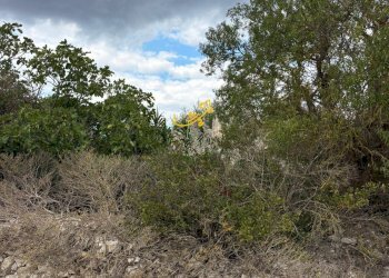 Foto 6 - Baita Contrada Scarcioppola, Noci - foto 6