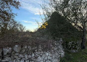 Foto 23 - Baita Contrada Scarcioppola, Noci - foto 23