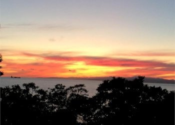 Quadrilocale Bogliasco - foto 49