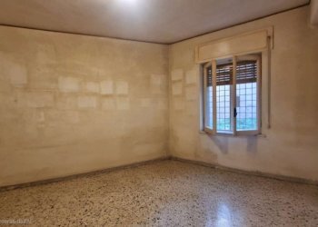 img-20251121-wa0025 - Trilocale via prospero santacroce, Roma - foto 22