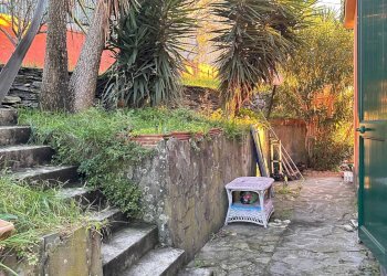 Foto 4 - Villa Lavagna - foto 4