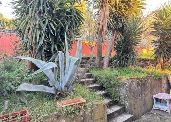 Foto 10 - Villa Lavagna - foto 10