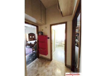 Trilocale via Luigi Silvagni, Bologna (zona Murri) - foto 10