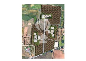 Villa B&B falconeria, Partinico - foto 20