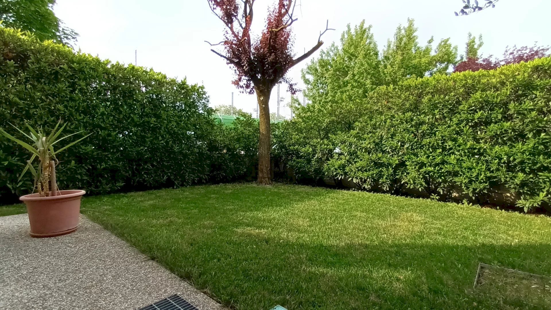 Villa a Schiera Conegliano - foto 2