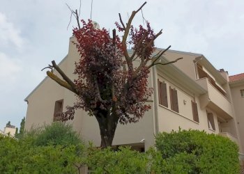 Villa a Schiera Conegliano - foto 30