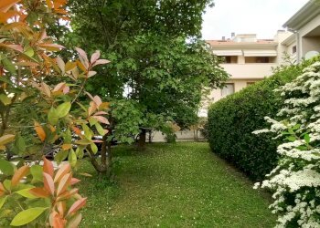 Villa a Schiera Conegliano - foto 31