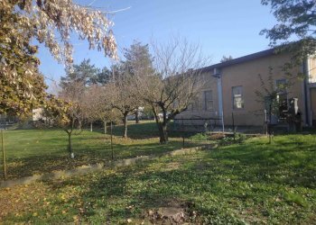 Capannone Mirandola - foto 3