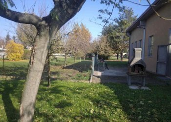 Capannone Mirandola - foto 4