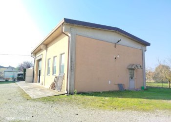 Capannone Mirandola - foto 10