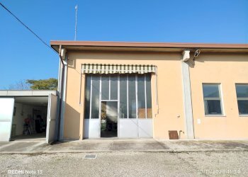 Capannone Mirandola - foto 11