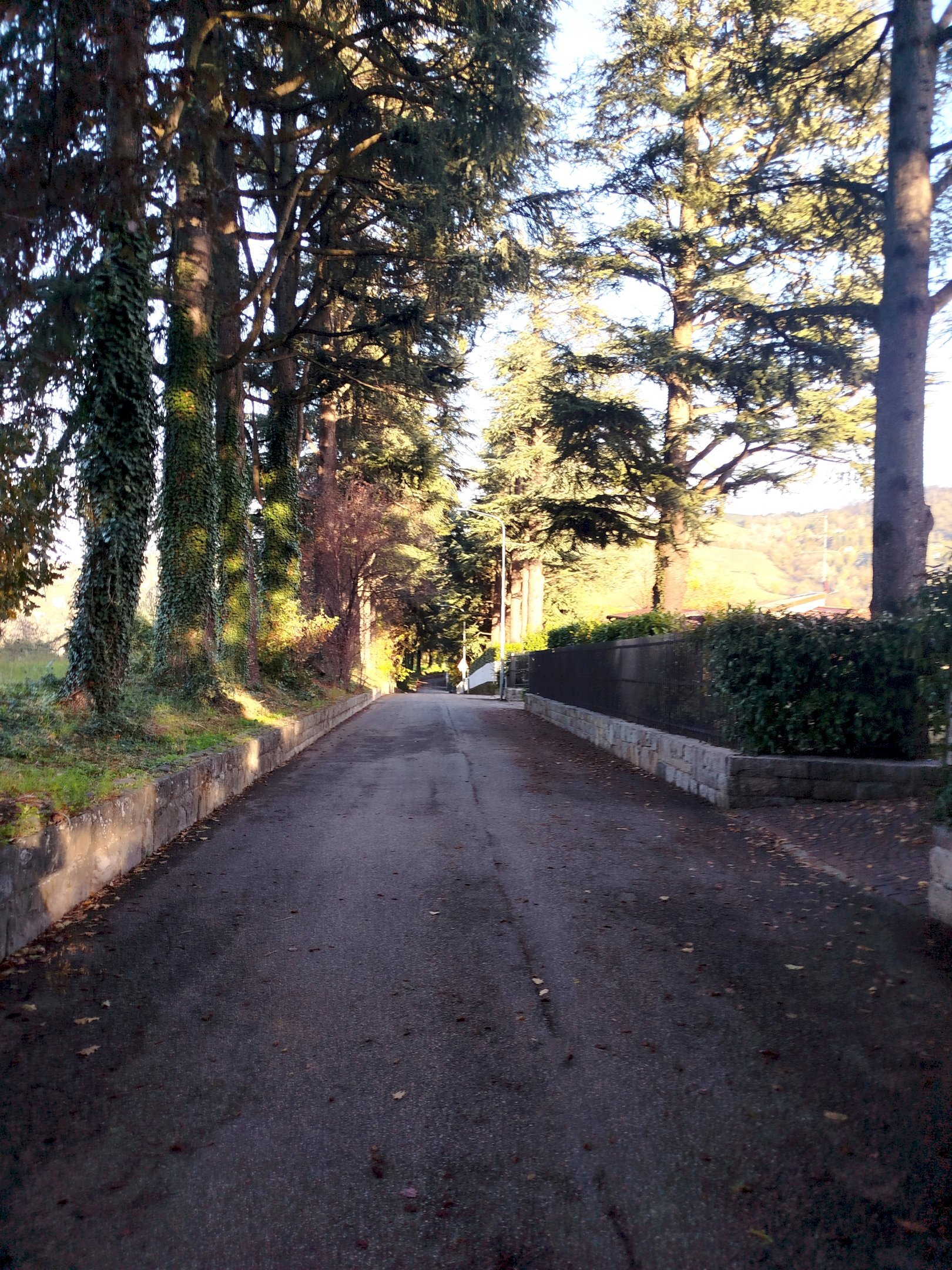 Single Family Villa via dei Cedri, 20, hamlet Pianoro Vecchio, Pianoro - photo 2