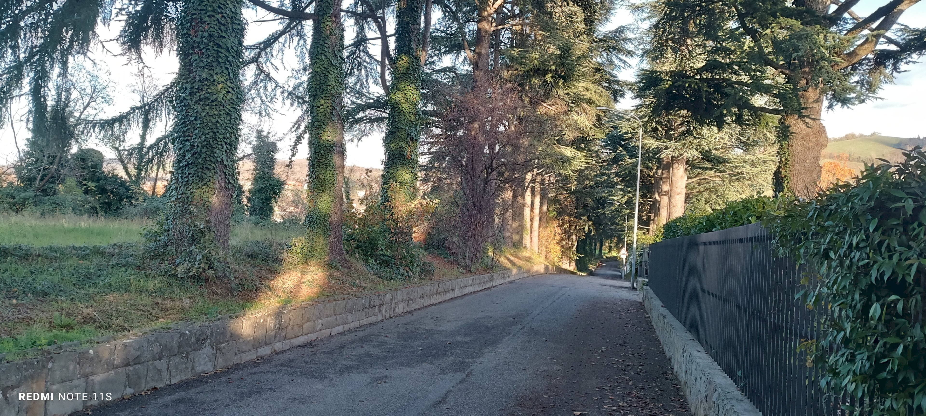 Single Family Villa via dei Cedri, 20, hamlet Pianoro Vecchio, Pianoro - photo 3