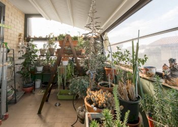 Foto 30 - Three-room apartment Via Monghio
 
1, Monterotondo - photo 30