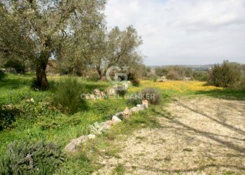 Foto 29 - Baita Contrada Pascarosa
 
SN, Ostuni - foto 29