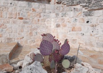 Foto 42 - Baita Contrada Pascarosa
 
SN, Ostuni - foto 42