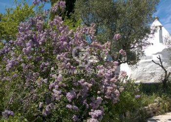 Foto 70 - Baita Contrada Pascarosa
 
SN, Ostuni - foto 70