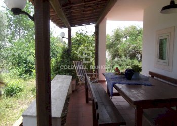 Foto 89 - Baita Contrada Pascarosa
 
SN, Ostuni - foto 89