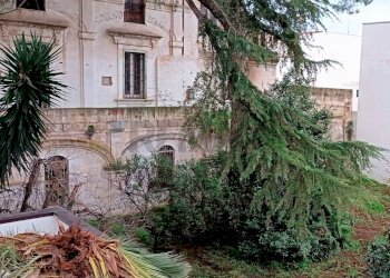 Edificio all\'aperto - Independent house Via Borgo Rurale Nuovo
 
6-8, Adelfia - photo 6