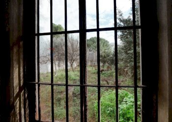 veduta esterna - Independent house Via Borgo Rurale Nuovo
 
6-8, Adelfia - photo 11