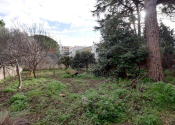 Giardino - Independent house Via Borgo Rurale Nuovo
 
6-8, Adelfia - photo 12