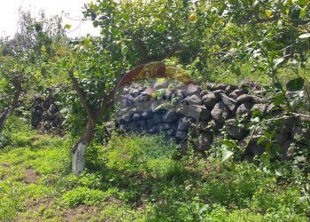 Giardino - Terreno agricolo via civi
 
snc, Fiumefreddo di Sicilia - foto 3