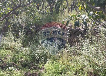 Non correlato - Terreno agricolo via civi
 
snc, Fiumefreddo di Sicilia - foto 7