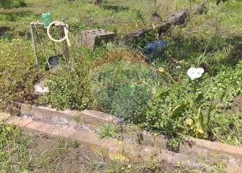 Giardino - Terreno agricolo via civi
 
snc, Fiumefreddo di Sicilia - foto 9