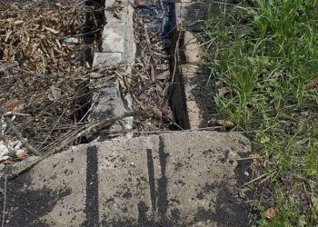 Giardino - Terreno agricolo via civi
 
snc, Fiumefreddo di Sicilia - foto 11