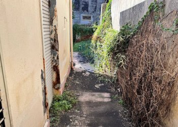 Giardino - Negozio via etna
 
43/a, San Giovanni la Punta - foto 15