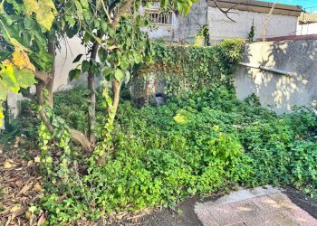 Giardino - Negozio via etna
 
43/a, San Giovanni la Punta - foto 18