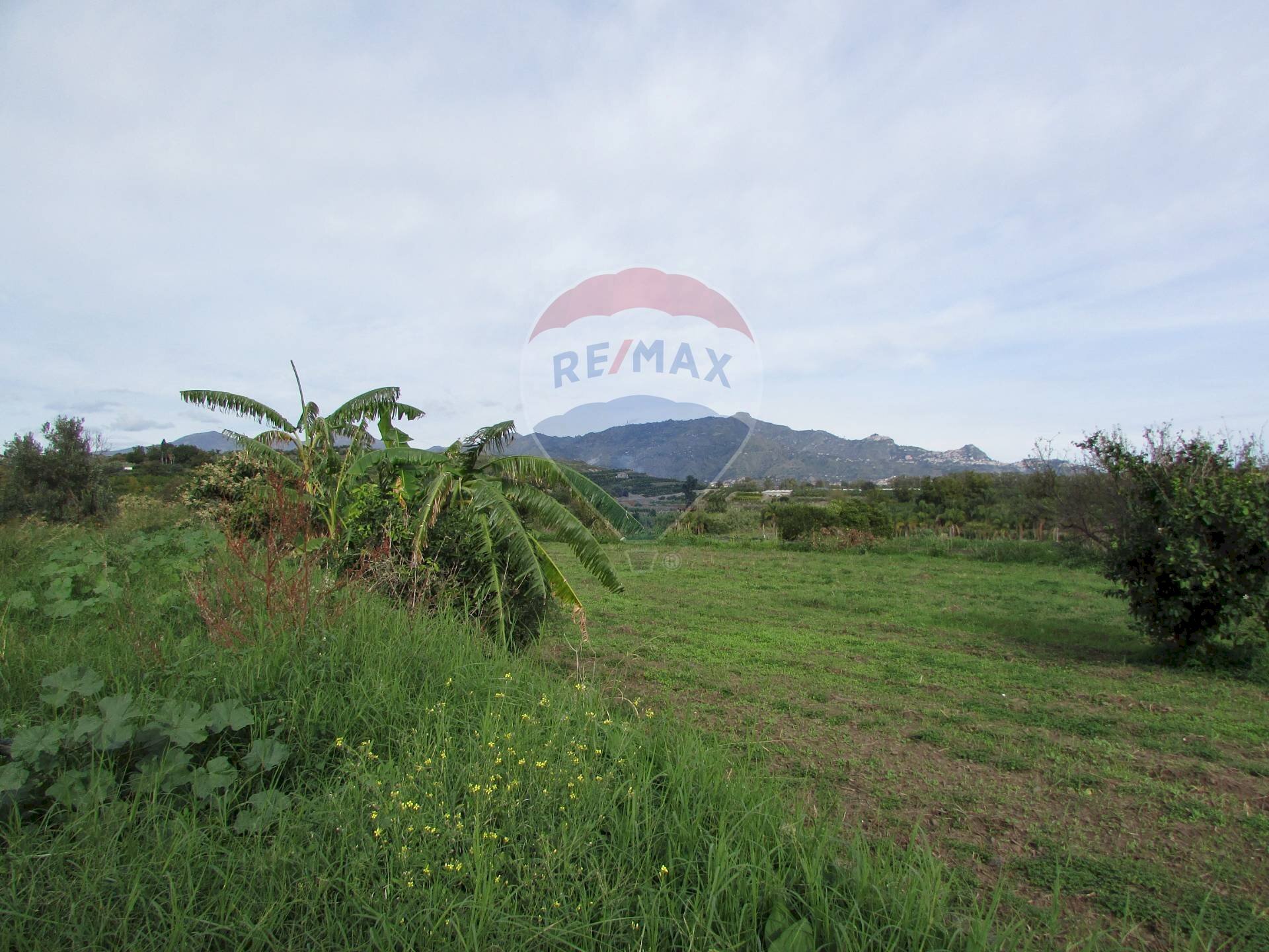 Vista delle montagne - Agricultural land Strada Provinciale 71i (SP71i)
 
44, Fiumefreddo di Sicilia - photo 2