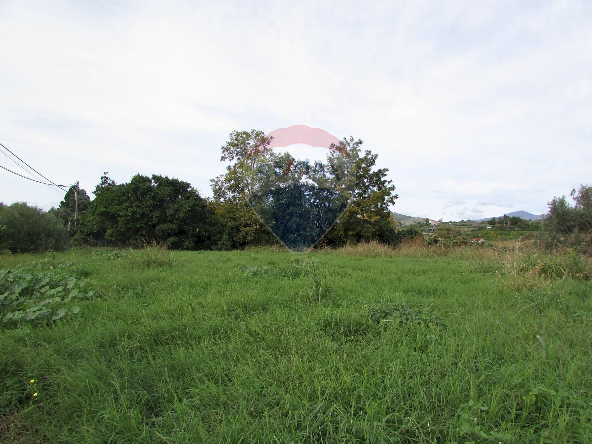Giardino - Agricultural land Strada Provinciale 71i (SP71i)
 
44, Fiumefreddo di Sicilia - photo 3