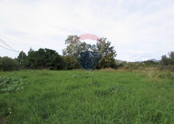 Giardino - Terreno agricolo Strada Provinciale 71i (SP71i)
 
44, Fiumefreddo di Sicilia - foto 3