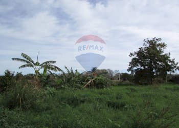 Giardino - Terreno agricolo Strada Provinciale 71i (SP71i)
 
44, Fiumefreddo di Sicilia - foto 5