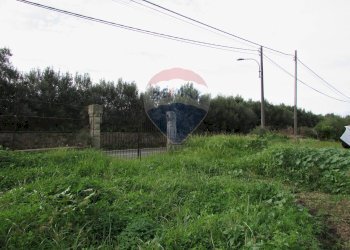 Giardino - Terreno agricolo Strada Provinciale 71i (SP71i)
 
44, Fiumefreddo di Sicilia - foto 7