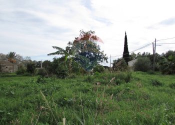Giardino - Terreno agricolo Strada Provinciale 71i (SP71i)
 
44, Fiumefreddo di Sicilia - foto 9